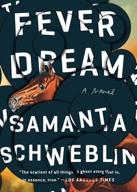 Fever Dream: A Novel