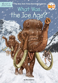 What Was the Ice Age?