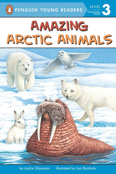 Amazing Arctic Animals