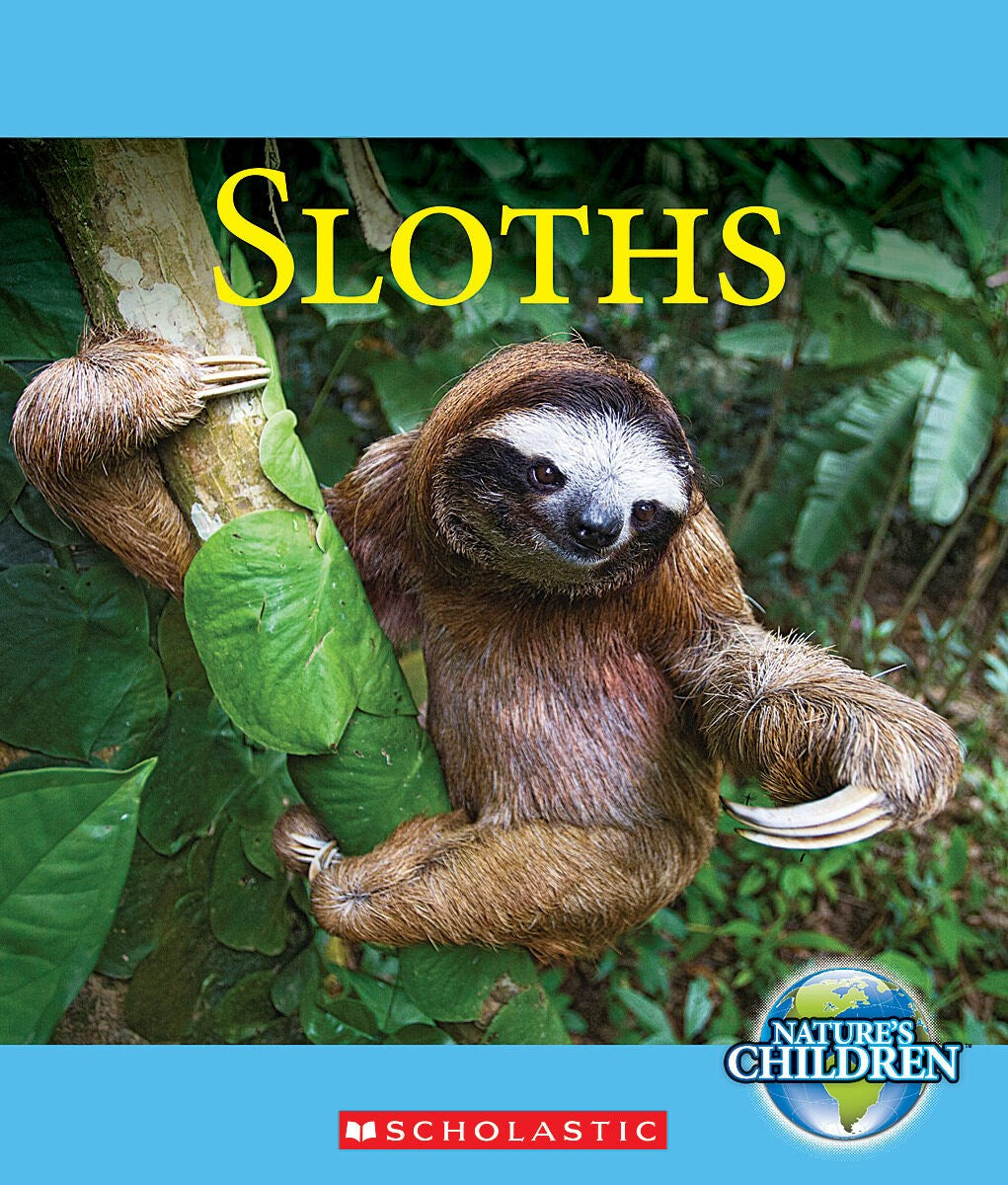 Sloths (Nature's Children)