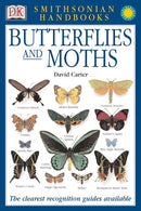 Butterflies & Moths: The Clearest Recognition Guide Available