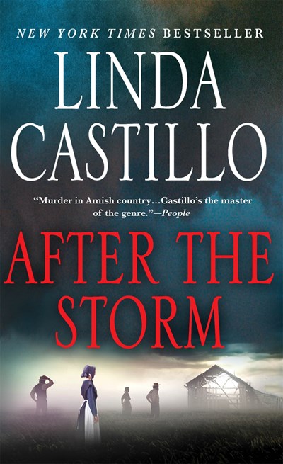 After the Storm: A Kate Burkholder Novel