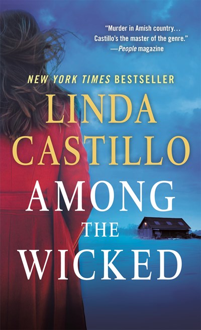 Among the Wicked: A Kate Burkholder Novel