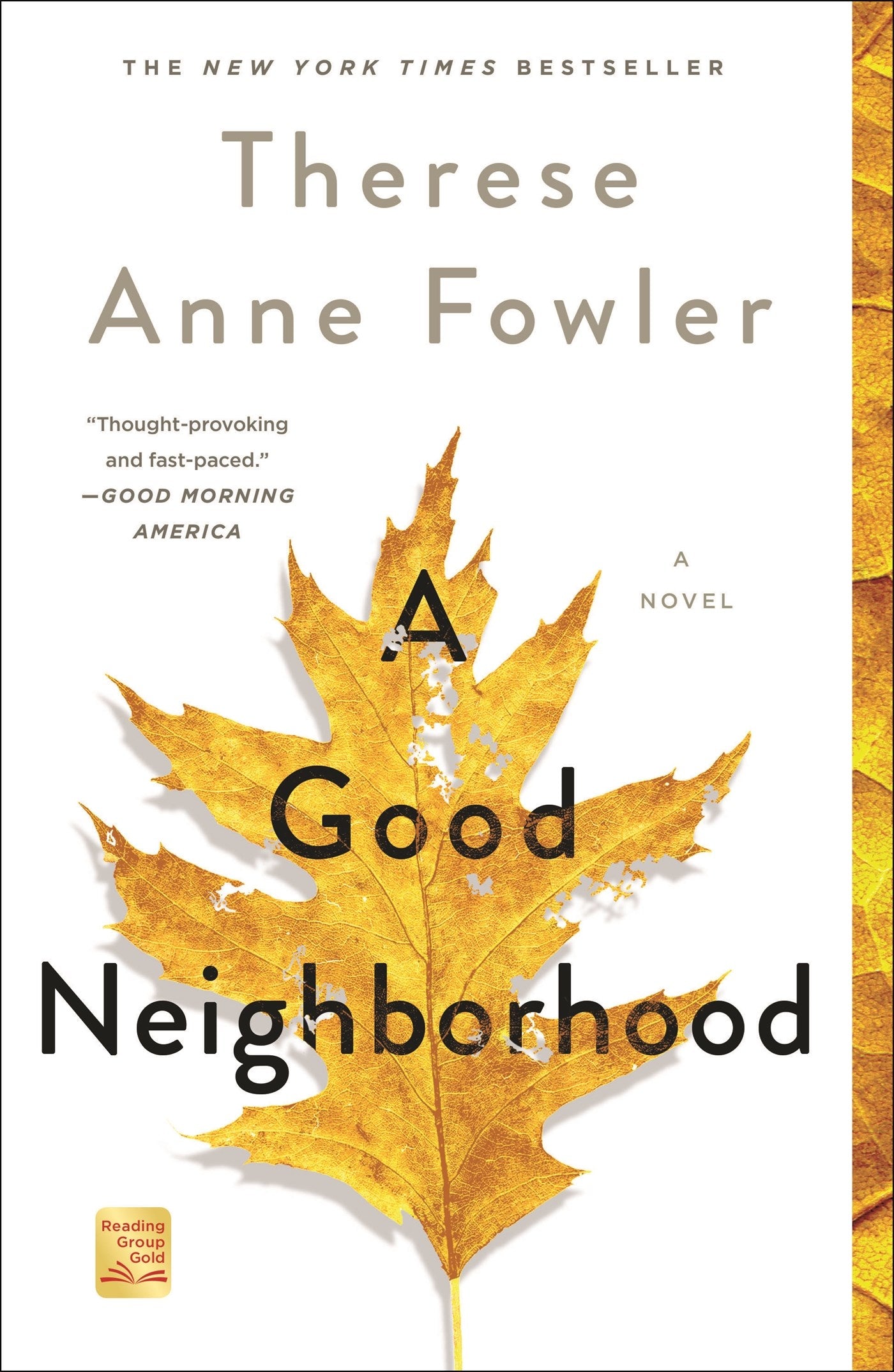 A Good Neighborhood: A Novel