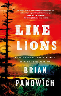 Like Lions: A Novel