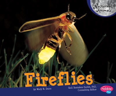 Fireflies