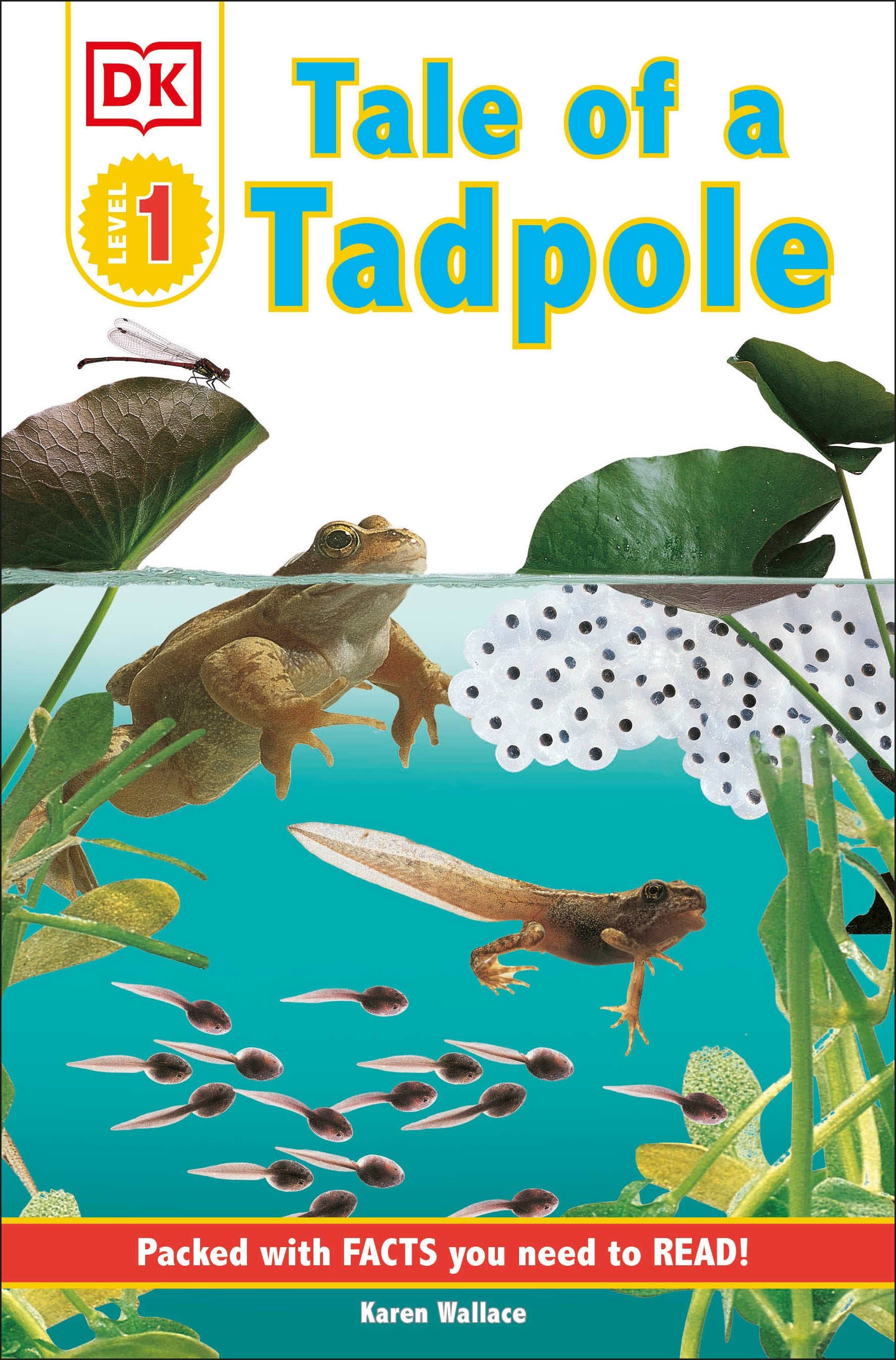 DK Readers L1: Tale of a Tadpole