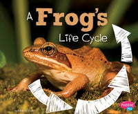 A Frog's Life Cycle