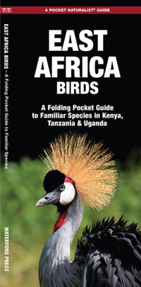 East Africa Birds: A Folding Pocket Guide to Familiar Species in Kenya, Tanzania & Uganda