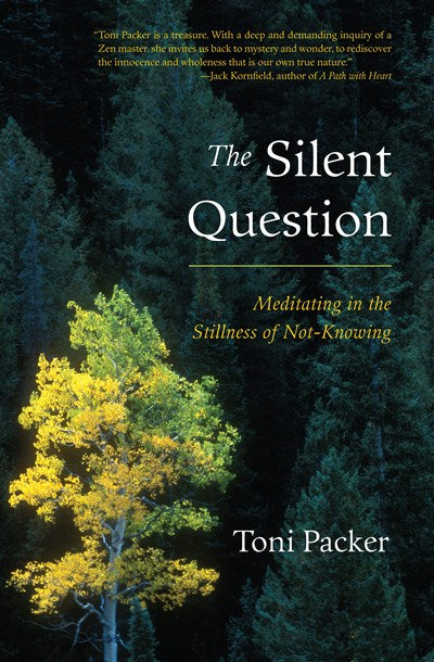 The Silent Question: Meditating in the Stillness of Not-Knowing