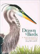 Drawn to Birds: A Naturalist's Sketchbook