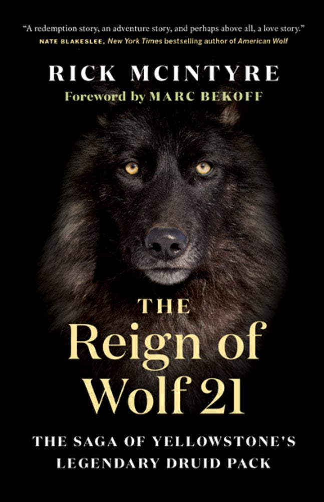 The Reign of Wolf 21: The Saga of Yellowstone's Legendary Druid Pack