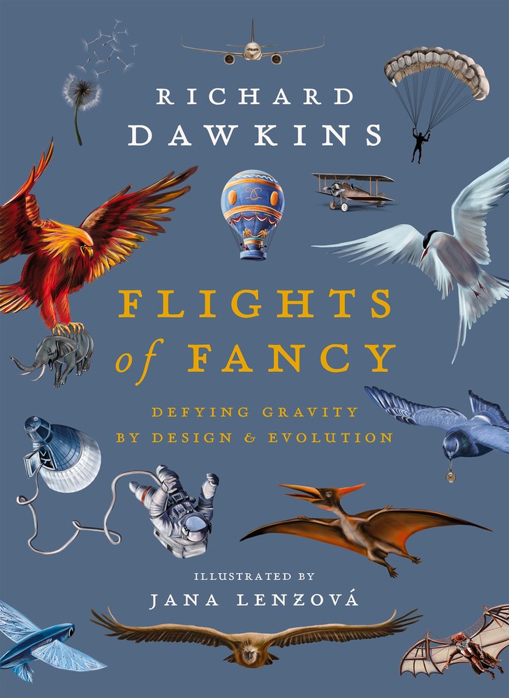 Flights of Fancy: Defying Gravity by Design and Evolution